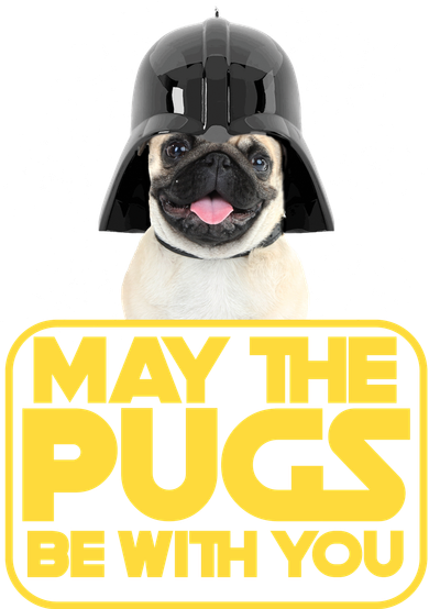 May The Pugs Be With You Kids Sweatshirt