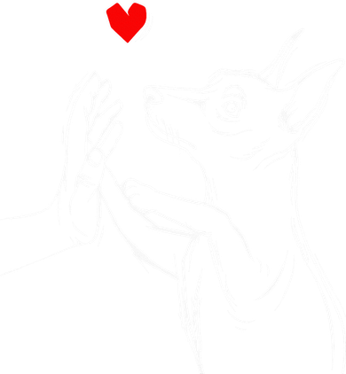 Min Pin Love Miniature Pinscher Dog Mom Kids T-Shirt