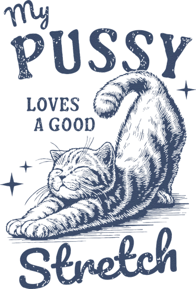 My Pussy Love A Good Stretch Funny Raunchy Cat Meme T-Shirt