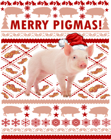 Merry Pigmas Christmas Pig Ugly Sweater Kids Hoodie