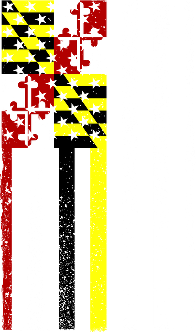 Vintage Maryland State American Flag Doggie Tank