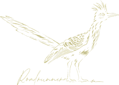 Minimalist Roadrunner Lover Distressed Women's T-Shirt