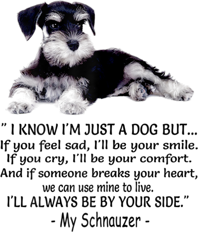 Miniature Schnauzer Funny Gift Women's Hoodie