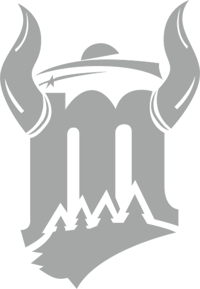 Minnesota Sports Hybrid Coaster