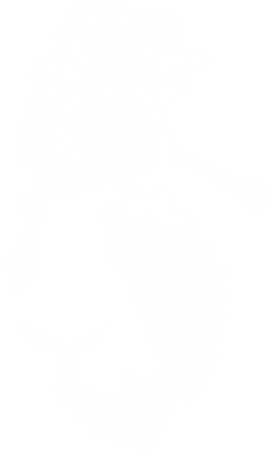 Mermaid Skeleton Halloween Costume Women Girls Doggie Tank