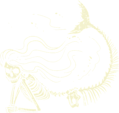 Mermaid Skeleton Halloween Costume Women's T-Shirt