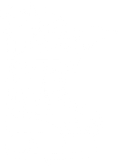Minnesota State With Hidden Images Women's Tank Top