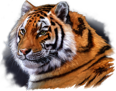 Majestic Tiger Head Tank Top