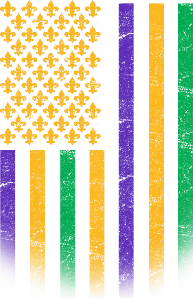 US Mardi Gras Flag Celebration Toddler T-Shirt