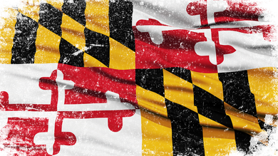Vintage Maryland Flag Kids Hoodie