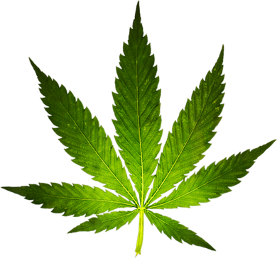 Majestic Weed Cannabis Plant Leaf Silhouette Kids T-Shirt