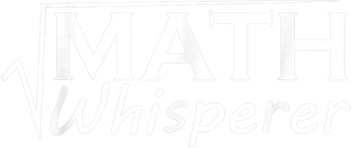 Math Whisperer Funny Math Teacher Teaching Gift Ceramic Ornament