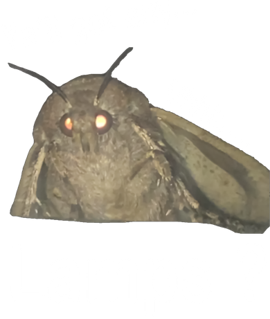 Moth Yall Got Any Lamps? Meme Women's Long Sleeve Shirt