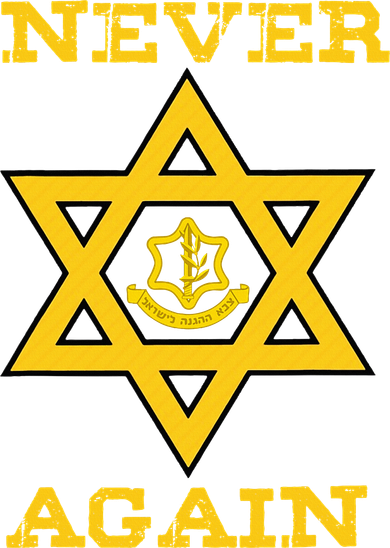 Never Again Support Israel Jewish Star Of David Idf Logo Magnet