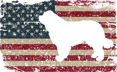 Newfie Dog America Flag Patriotic Dog Lover Gift Hoodie