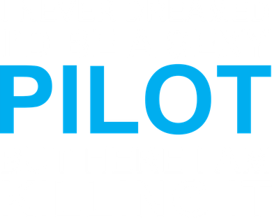 I Never Dreamed I'd Be A Sexy Pilot Toddler Hoodie