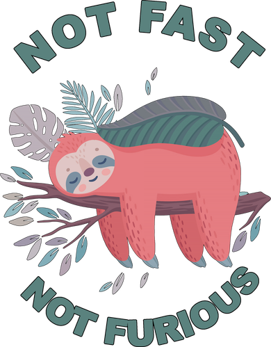 Not Fast Not Furious Sloth Cute Coaster