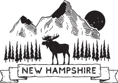 New Hampshire Mountain Moose Cool New Hampshire Gift Toddler Hoodie