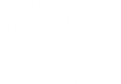 Noblesville Indiana In Vintage Established Sports Polo