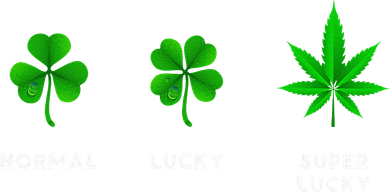 Normal Lucky Super Lucky Shamrock Weed Leaf St. Patricks Day Women's T-Shirt