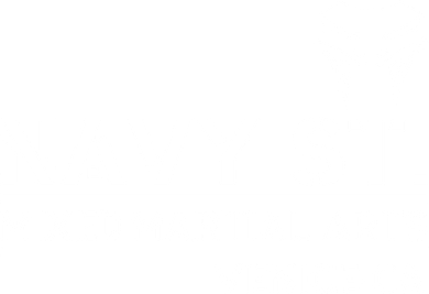 Navy St Mix Martial Arts Venice California Snake Logo Toddler T-Shirt