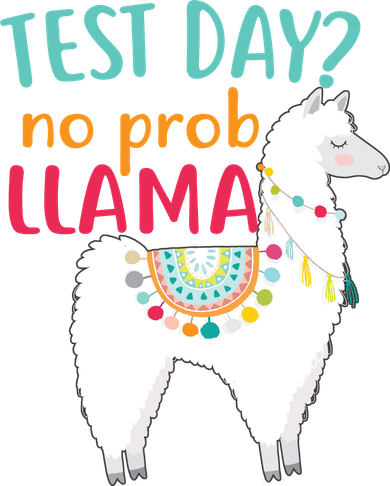 No Probllama Rock The Test Funny Mousepad