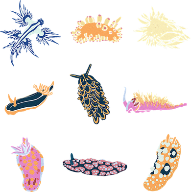 Nudibranch Sea Slug Marine Biologist And Aquarist Toddler Hoodie
