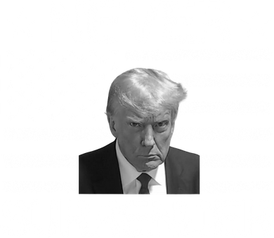 Never Surrender Trump American Flag Magnet