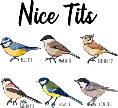 Nice Tits Funny Bird Watching Birding Kids Hoodie