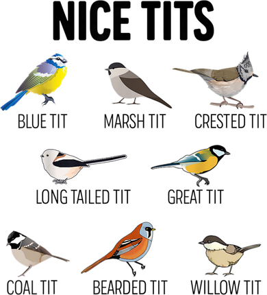 Nice Tits Pun Joke Funny Bird Lover Enthusiast Birdwatcher Mousepad