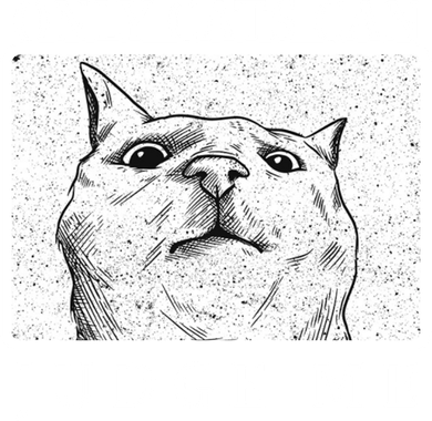 Only Cats Can Judge Me Button
