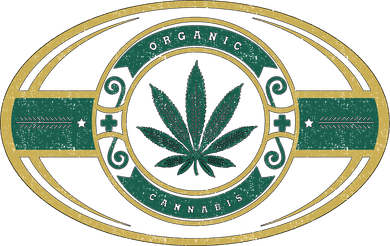Organic Cannabis Medical Marijuana Gold Seal Women's T-Shirt