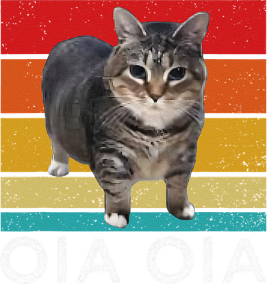 Oia Cat Meme I Wake Up Engage In Tomfoolery Oiia Cat Spinnin Coaster
