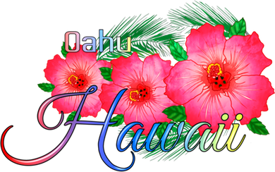 Oahu Hawaii Tropical Flowers Family Vacation Gift Coaster