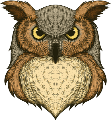 Owl Illustration Toddler Hoodie