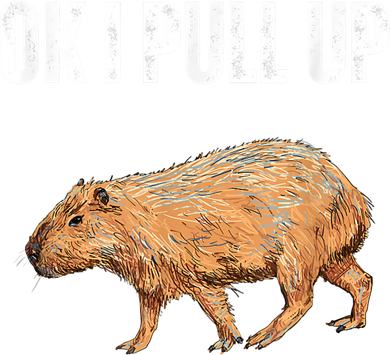 Ok I Pull Up Capybara Shirt Funny Capybara Meme Ok I Pull Up Kids T-Shirt