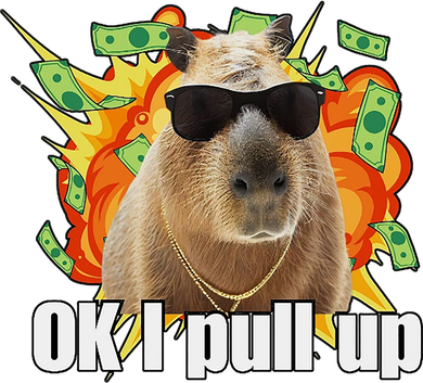 Ok I Pull Up Capybara Funny Meme Women's T-Shirt