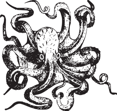 Octopus Kraken Men Women BoyGirl Tees Coaster