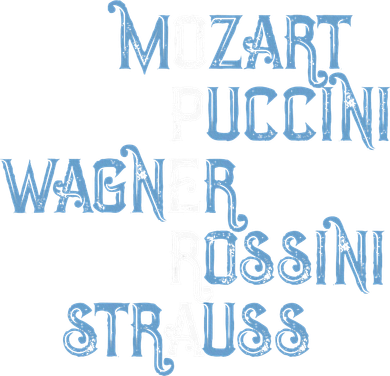 Opera Lover Gift Mozart Puccini Wagner Rossini Strauss Women's Hoodie
