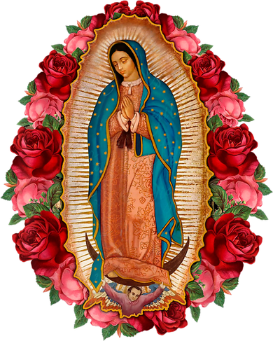 Our Lady Virgen De Guadalupe Virgin Mary Gracias Madre Women's T-Shirt