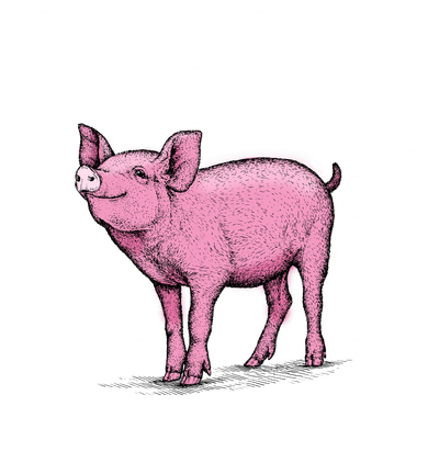 Oh My God Pig T-Shirt