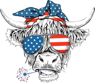Oh My Stars Cow Highland Cow 4th July American Flag Fourth Of July  Independe Kids Long Sleeve Shirt