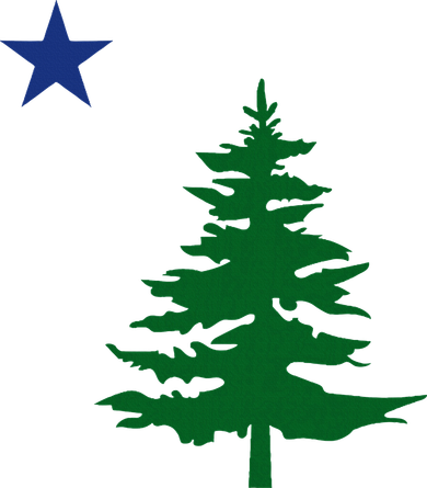 Old Maine State Flag 1901 Pine Tree Star Toddler Long Sleeve