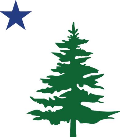 Old Maine State Flag 1901 Pine Tree Star Women's Long Sleeve Shirt
