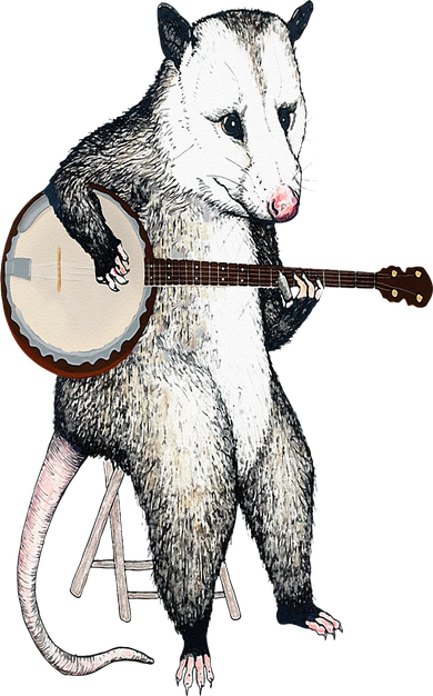 Opossum Playing Banjo Guitar Possum Live Weird Trash Kitty Hat