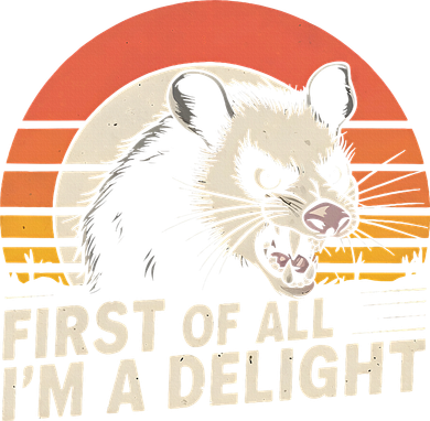 Opossum Possum First Of All IM A Delight Sarcastic Angry Kids Sweatshirt
