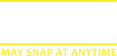 Official Photographer May Snap At Anytime Women's T-Shirt