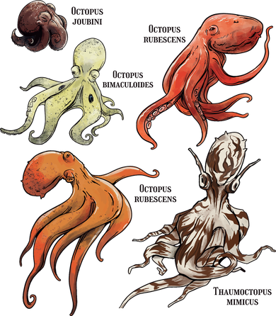 Octopus Sea Animals Species Kids T-Shirt