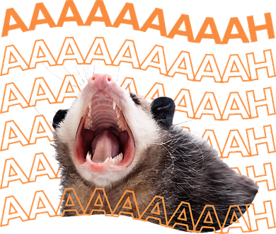 Opossum Screaming Funny Possum Trash Cat Meme Coaster