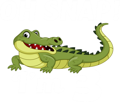 3rd Birthday Oh Snap Im 3 Women's Hoodie